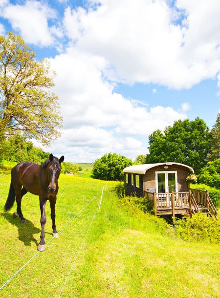 Roulotte proximité cheveaux
